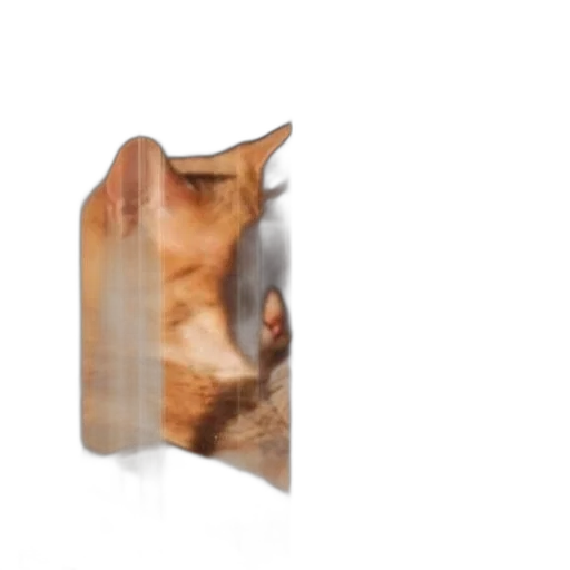 animal, face, mask, creature transparent PNG cut-out