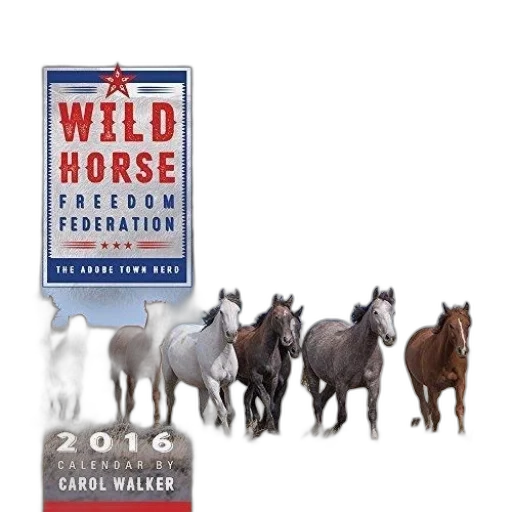 2016, calendar, featuring, wild transparent PNG cut-out