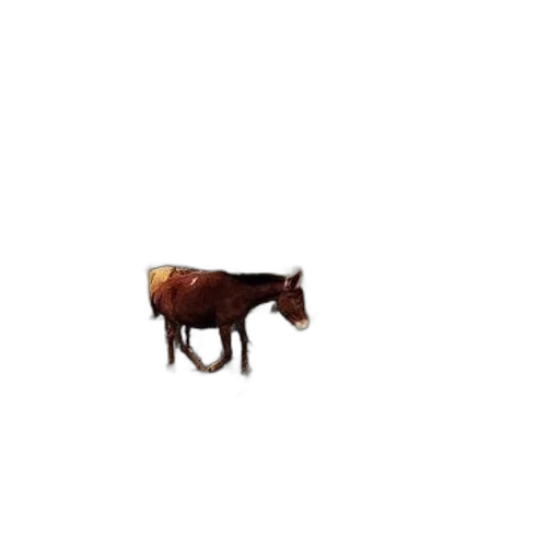 animal, creature, furniture, robot transparent PNG cut-out