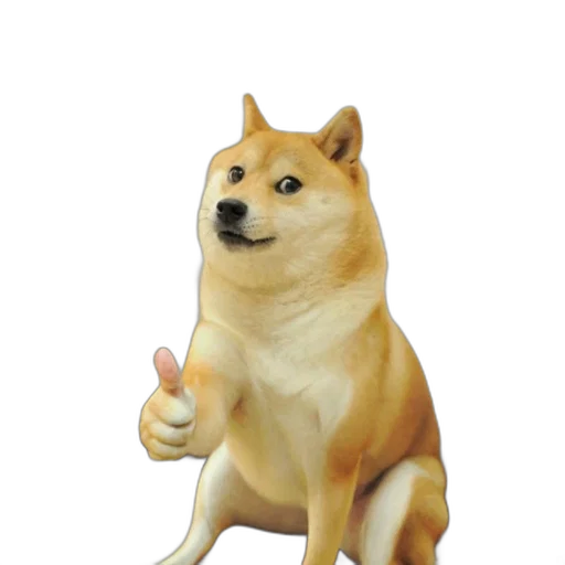 animal, staff, creature, food transparent PNG cut-out