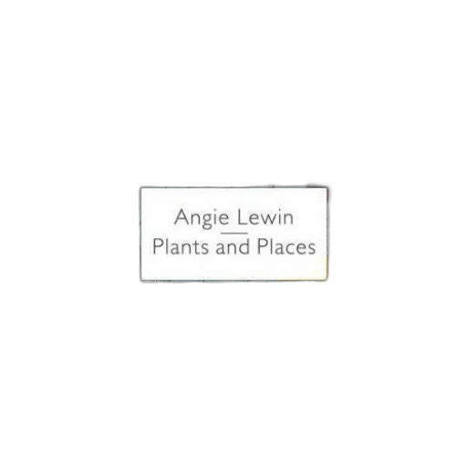 tree, jewelry, earth tones, angie transparent PNG cut-out