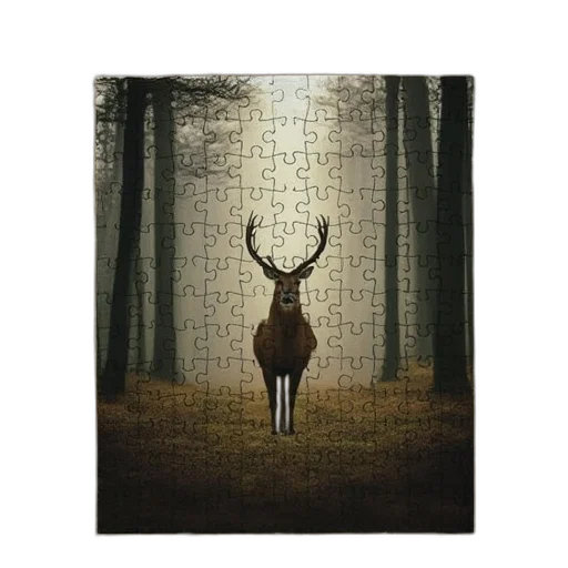 animal, dress, creature, umbrella transparent PNG cut-out
