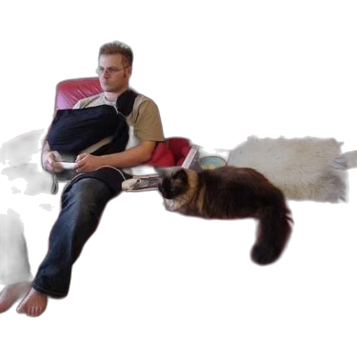 animal, creature, furniture, concept art transparent PNG cut-out