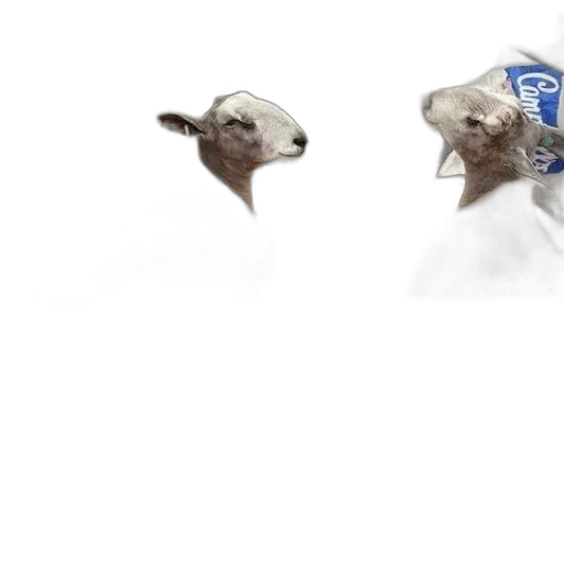 animal, creature, food, dragon transparent PNG cut-out