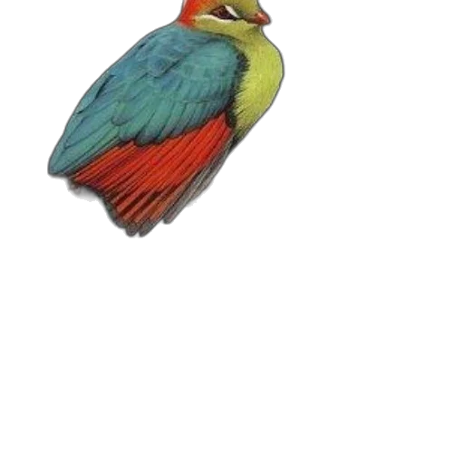 animal, staff, jewelry, crown transparent PNG cut-out