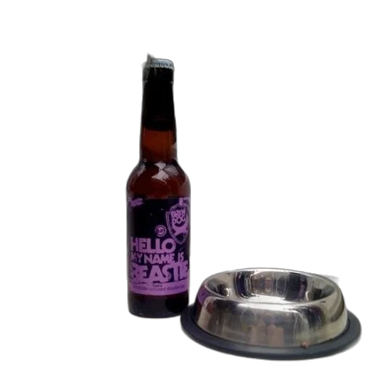 bottle, cat, sniffs, beer transparent PNG cut-out