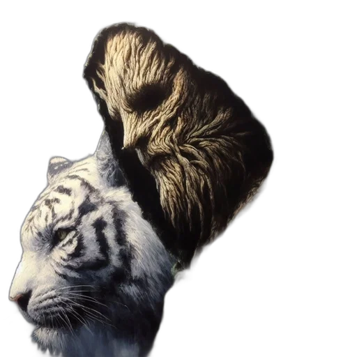 hair, animal, crown, creature transparent PNG cut-out