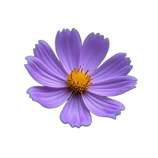 flower, crown, jewelry, staff transparent PNG cut-out