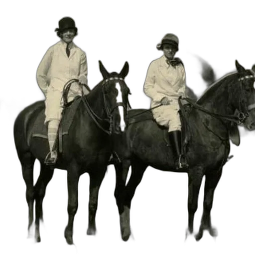 staff, animal, hat, concept art transparent PNG cut-out