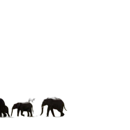 animal, creature, concept art, forest transparent PNG cut-out