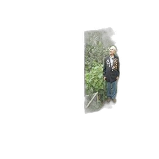 jacket, staff, tree, robot transparent PNG cut-out