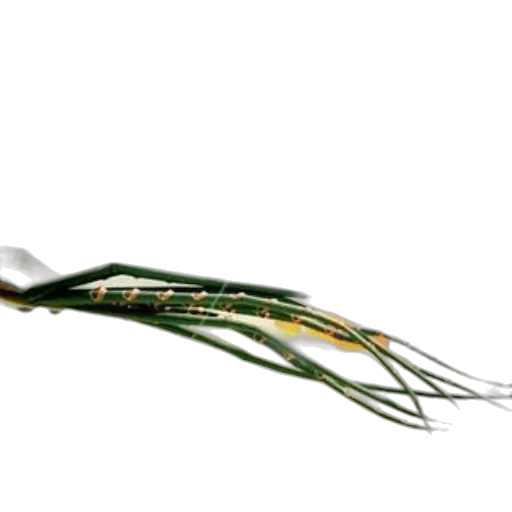 jewelry, weapon, hair, staff transparent PNG cut-out