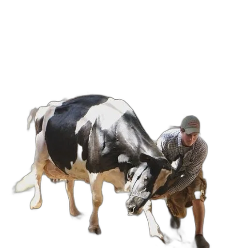 animal, weapon, creature, food transparent PNG cut-out