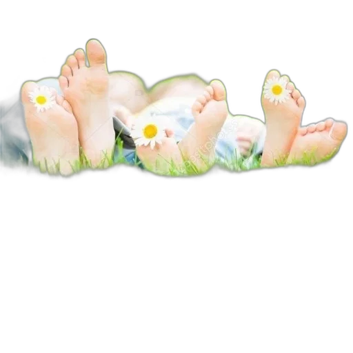 shoes, photorealistic, watercolor, 3d render transparent PNG cut-out