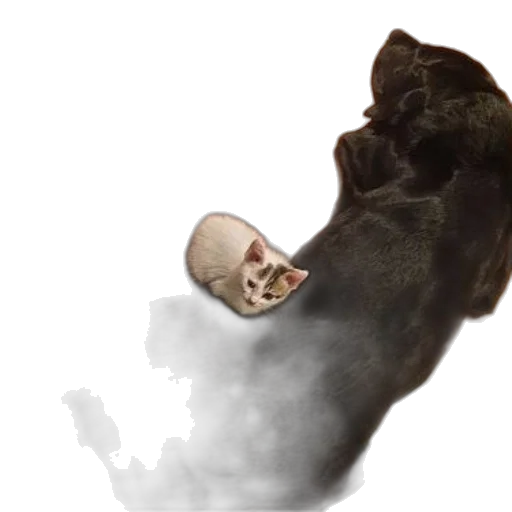mask, creature, face, staff transparent PNG cut-out