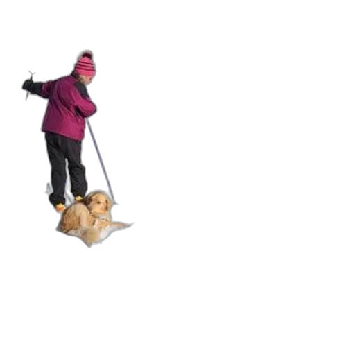 umbrella, staff, hat, animal transparent PNG cut-out