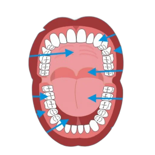 face, jewelry, crown, mask transparent PNG cut-out