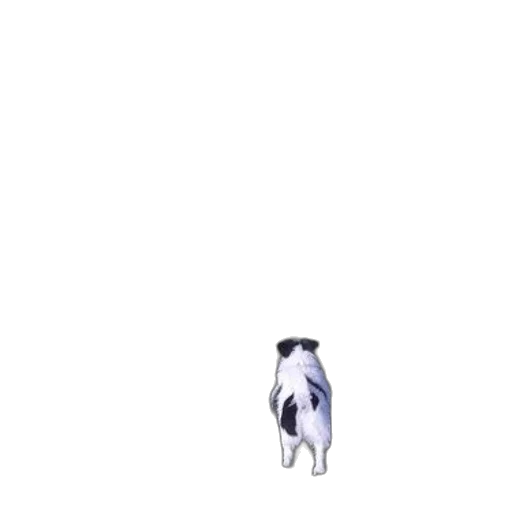 animal, creature, robot, staff transparent PNG cut-out