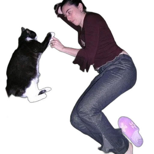 animal, creature, staff, shoes transparent PNG cut-out