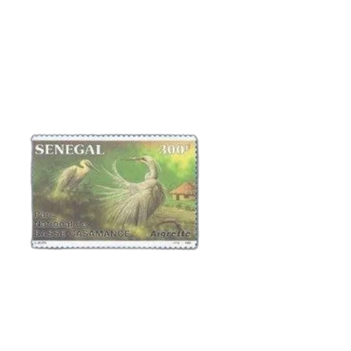 dragon, animal, image, cover transparent PNG cut-out