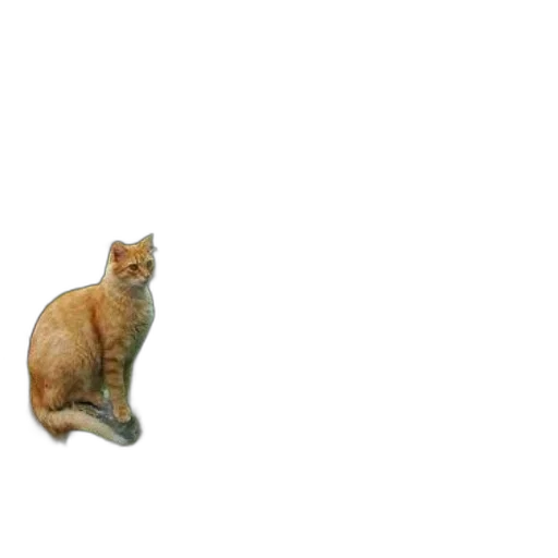 animal, creature, staff, furniture transparent PNG cut-out
