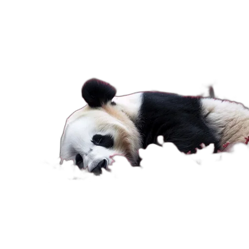 animal, creature, mask, weapon transparent PNG cut-out