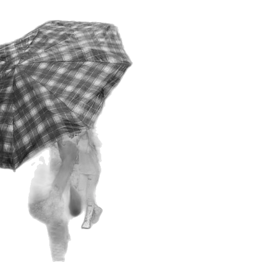 umbrella, jacket, dress, hat transparent PNG cut-out