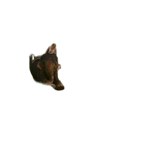 animal, staff, creature, mask transparent PNG cut-out