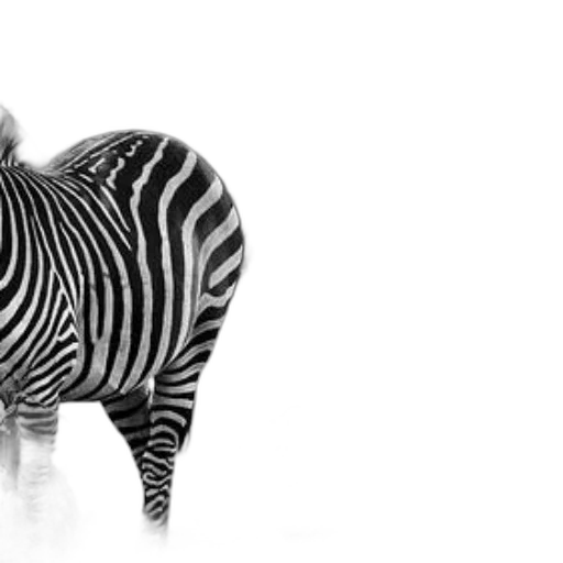animal, creature, jewelry, photorealistic transparent PNG cut-out