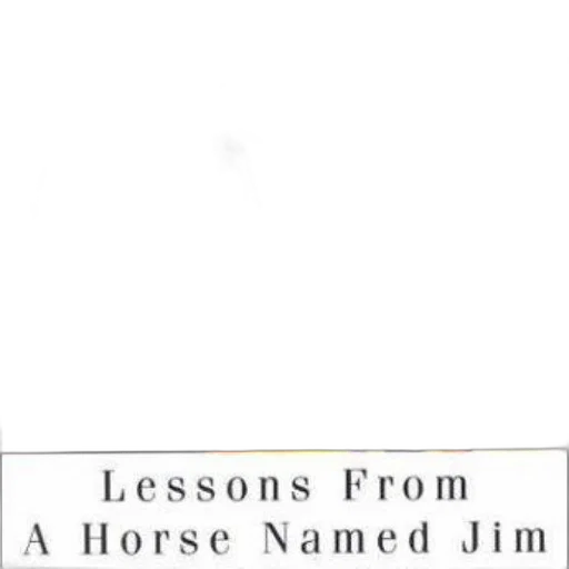 lessons, horse, named, jim transparent PNG cut-out