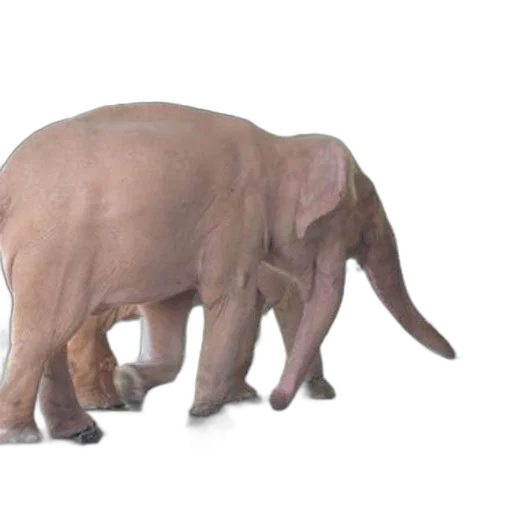 animal, creature, staff, 3d render transparent PNG cut-out