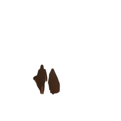 shoes, hair, food, hat transparent PNG cut-out