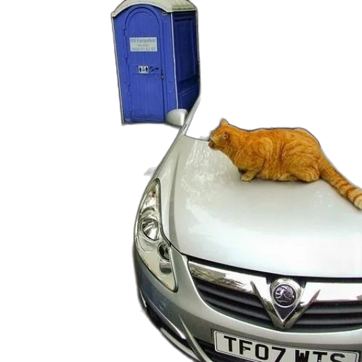 car, staff, woman, takes transparent PNG cut-out