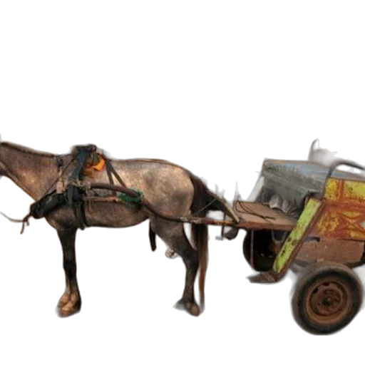 car, animal, staff, weapon transparent PNG cut-out