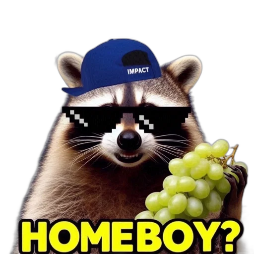 animal, hat, food, concept art transparent PNG cut-out