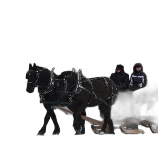animal, robot, car, weapon transparent PNG cut-out
