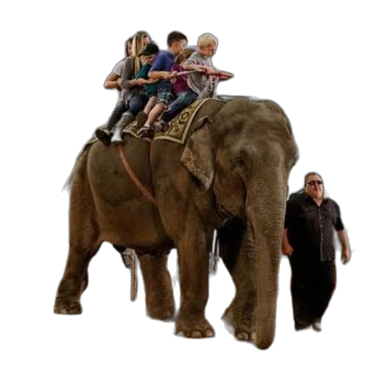 animal, concept art, 3d render, children transparent PNG cut-out