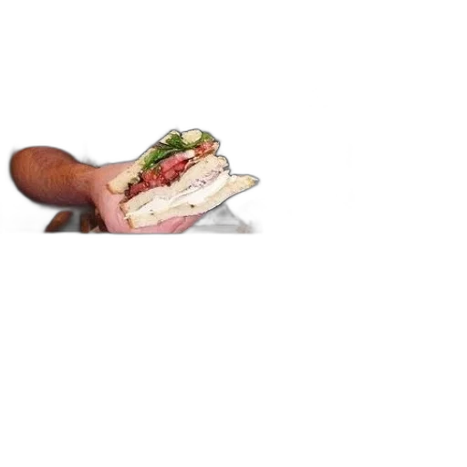 food, animal, shoes, creature transparent PNG cut-out