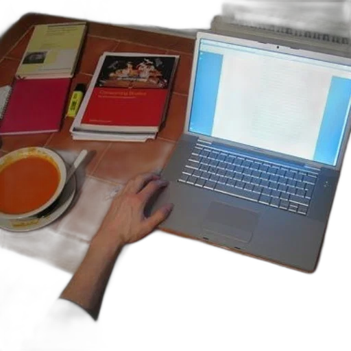 food, person, using, laptop transparent PNG cut-out