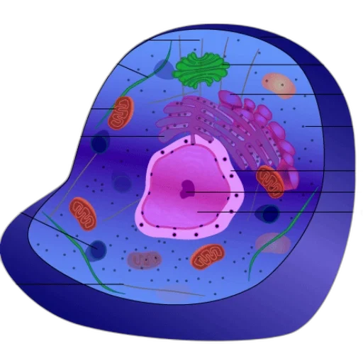 crown, hat, concept art, outer space transparent PNG cut-out