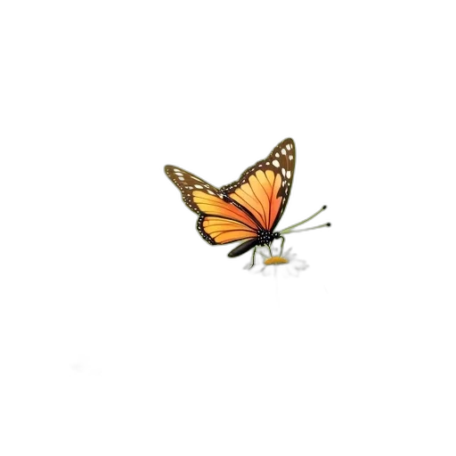 animal, flower, creature, crown transparent PNG cut-out