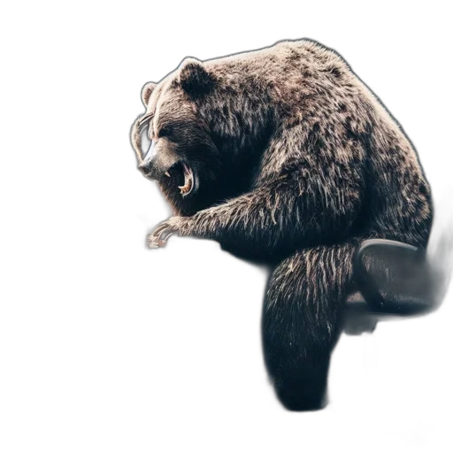 animal, creature, concept art, photorealistic transparent PNG cut-out