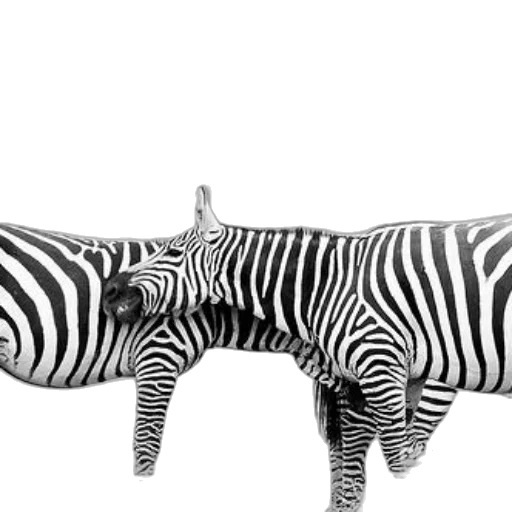 animal, furniture, creature, jewelry transparent PNG cut-out