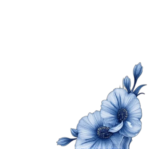 flower, dress, crown, hat transparent PNG cut-out