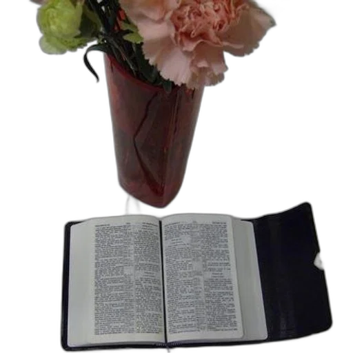 flower, crown, weapon, staff transparent PNG cut-out