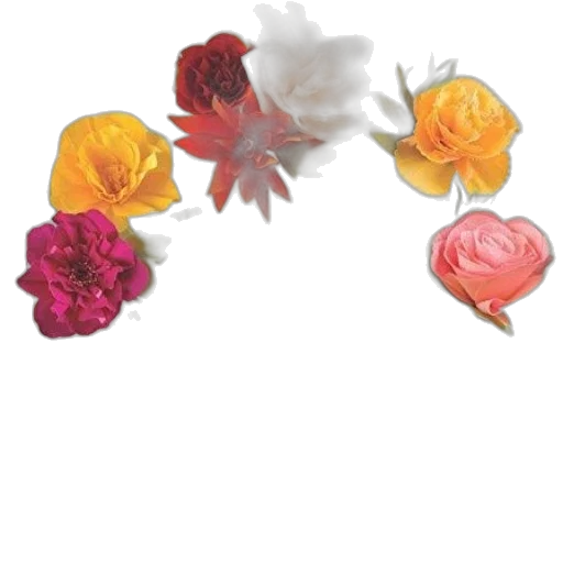 crown, flower, jewelry, hat transparent PNG cut-out