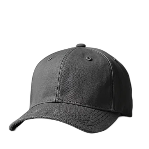 hat, crown, jacket, staff transparent PNG cut-out