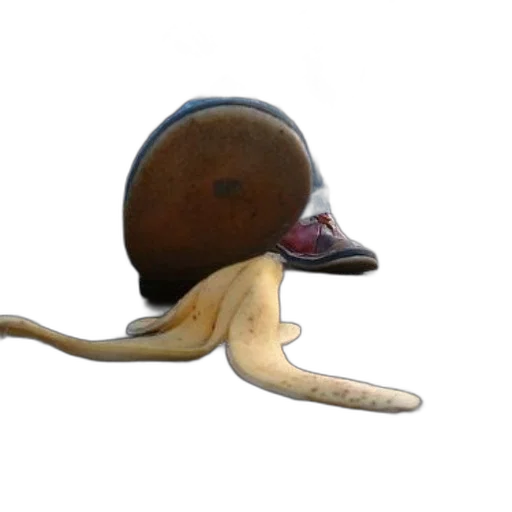 hat, animal, staff, mask transparent PNG cut-out