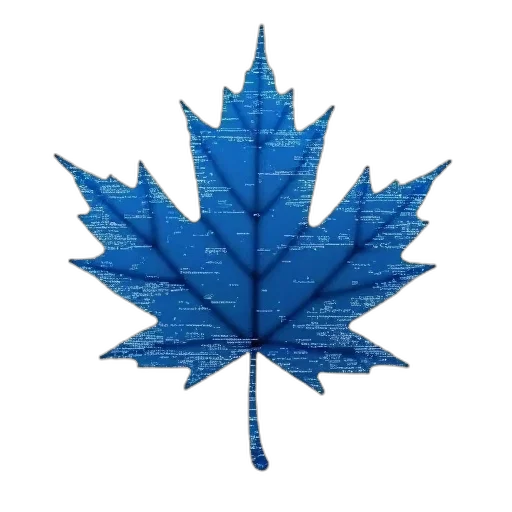 crown, umbrella, tree, jacket transparent PNG cut-out