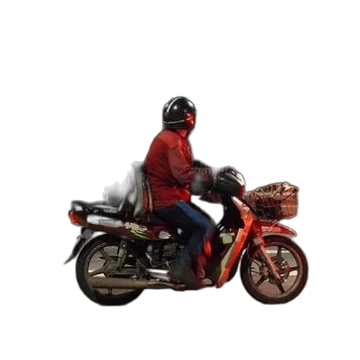 jacket, animal, car, weapon transparent PNG cut-out